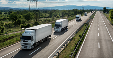 Road transport